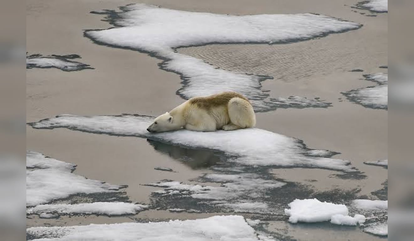 Terra enfrenta recordes climáticos e cientistas alertam para risco de mudanças irreversíveis