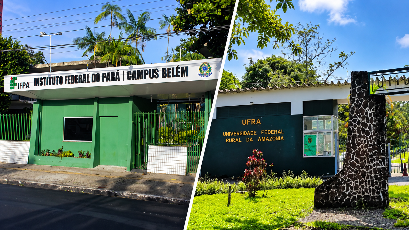 IFPA e Ufra abrem seleção para 40 vagas em curso superior gratuito de Gestão Pública em Belém; veja como se inscrever